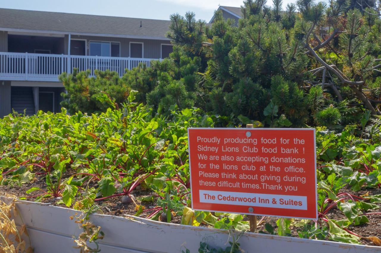 The Cedarwood Inn & Suites Sidney Eksteriør bilde